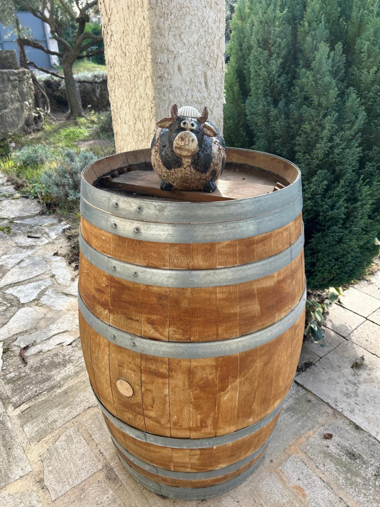 Saint-Pierre-de-VassolsLe Mazet Des Joncs En Provence别墅 外观 照片
