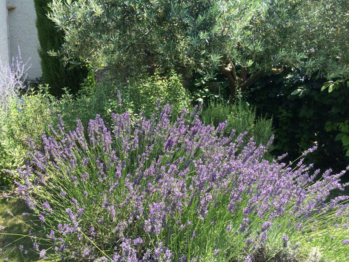 Saint-Pierre-de-VassolsLe Mazet Des Joncs En Provence别墅 外观 照片