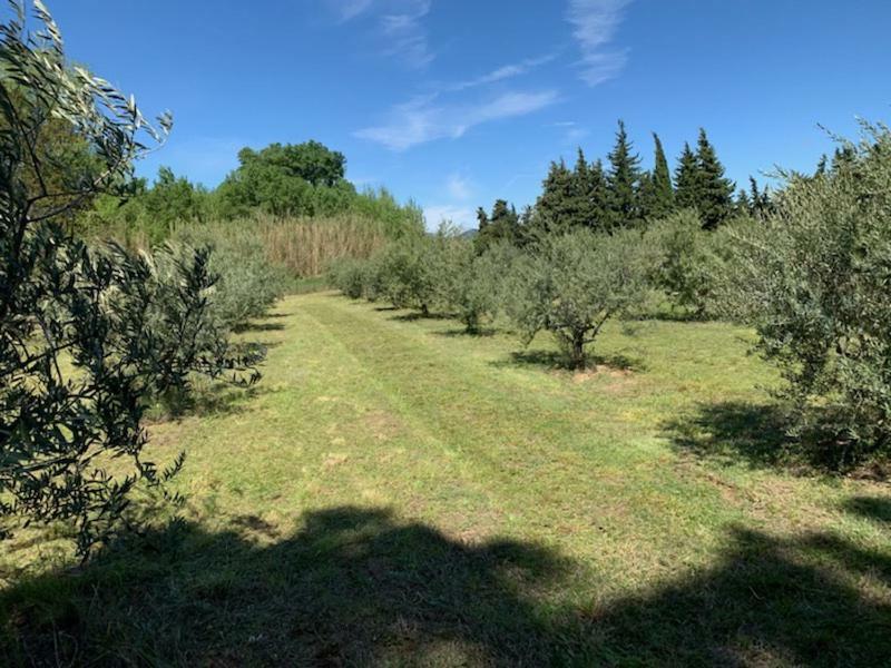 Saint-Pierre-de-VassolsLe Mazet Des Joncs En Provence别墅 外观 照片